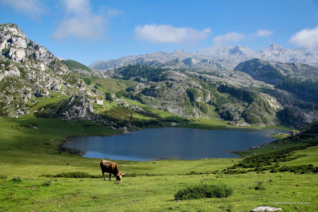 Lagos de Covadonga