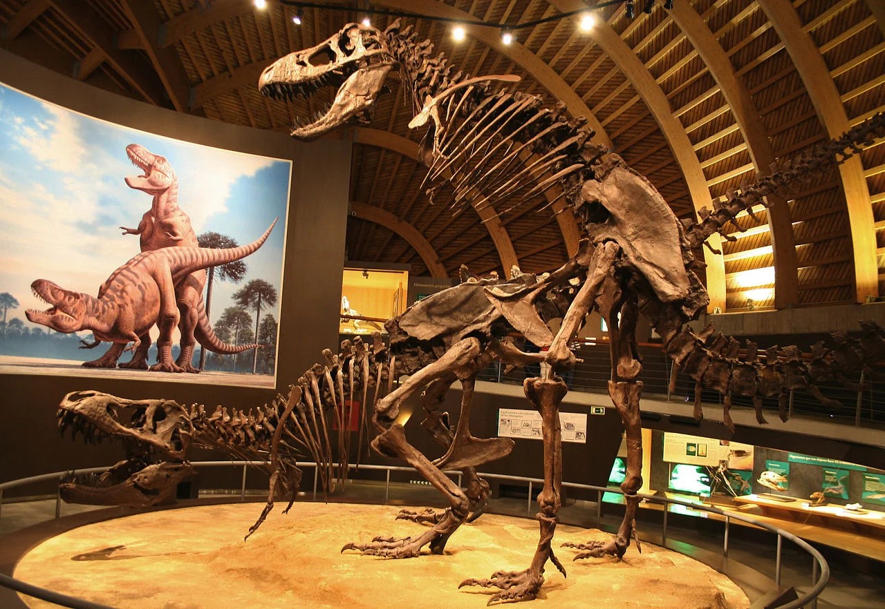 Museo del Jurásico de Asturias