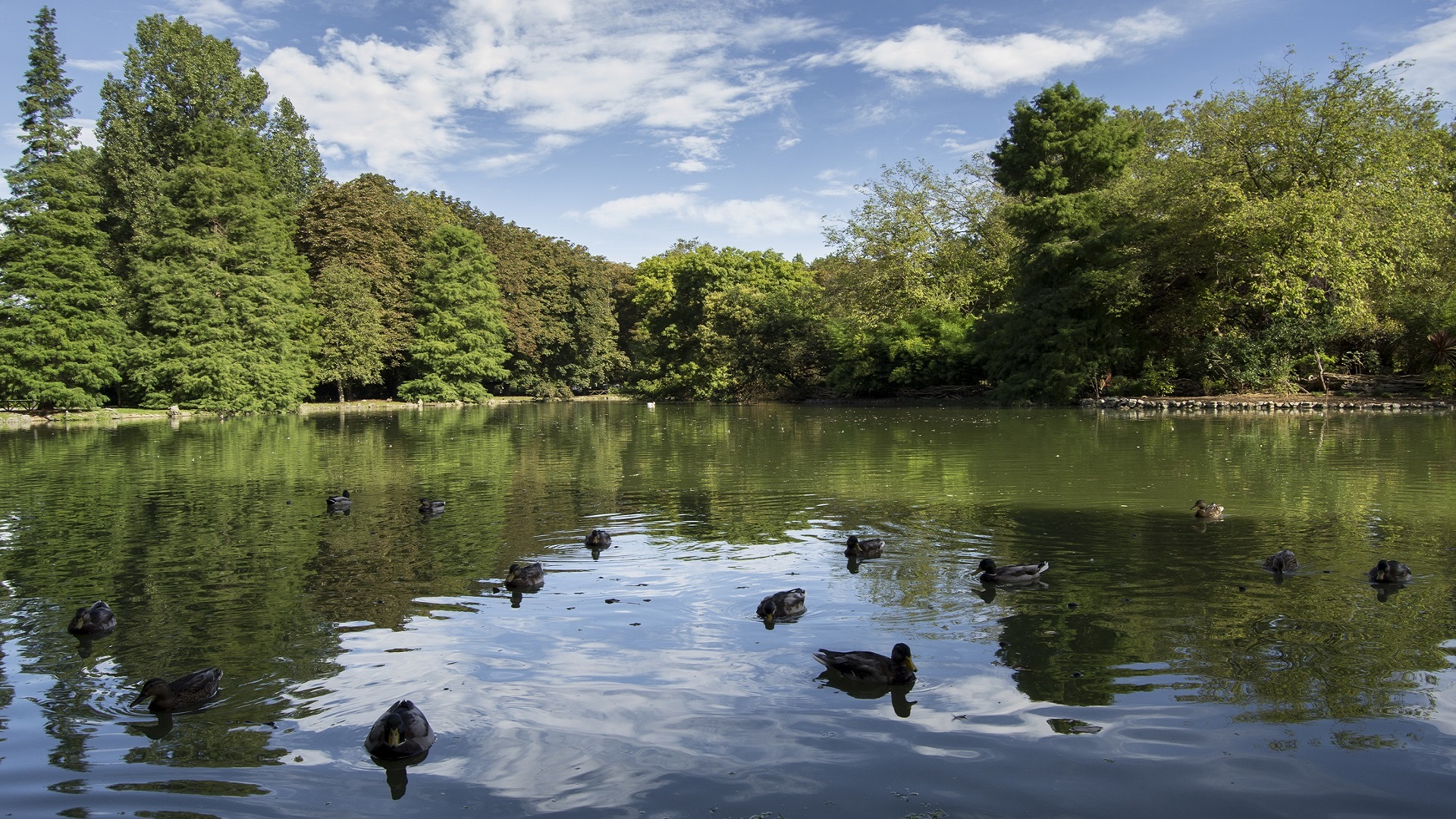 Parque de Isabel la Católica
