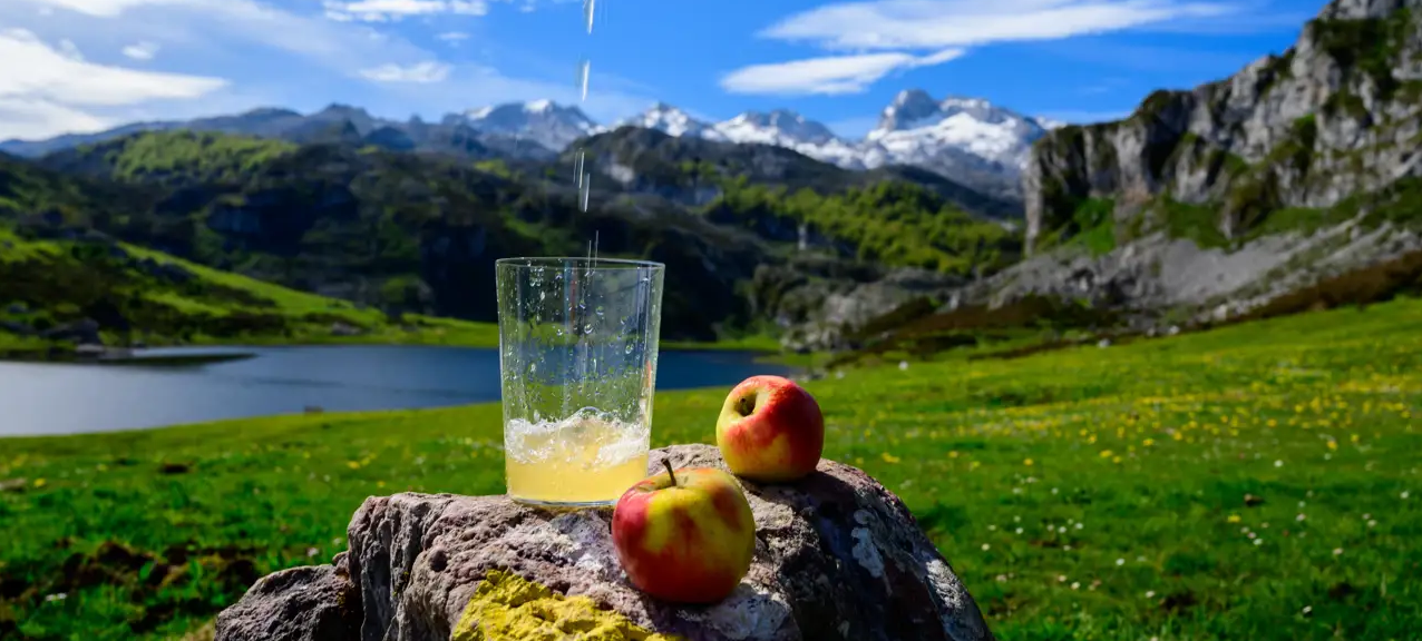 fondo
