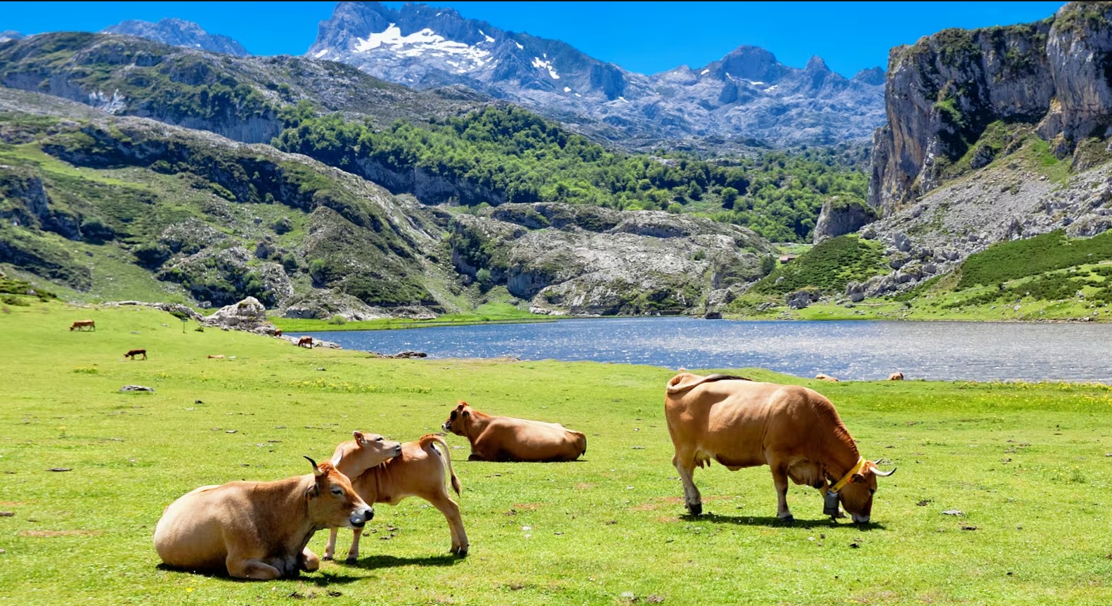 Asturias